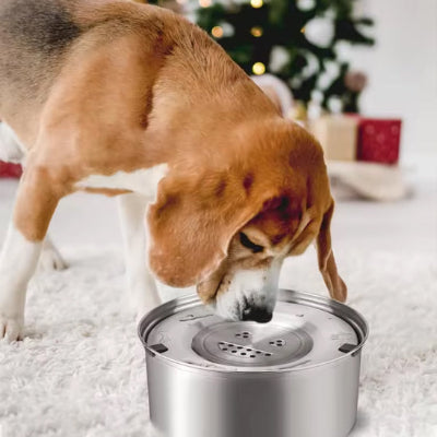 Gamelle anti éclaboussure SplashBowl boire brun chien