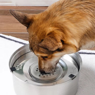 Gamelle anti éclaboussure SplashBowl brun boire chien