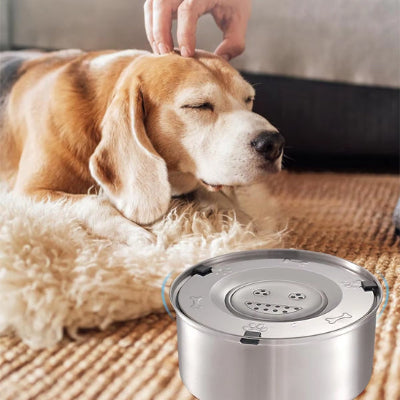 Gamelle anti éclaboussure SplashBowl caresser brun chien