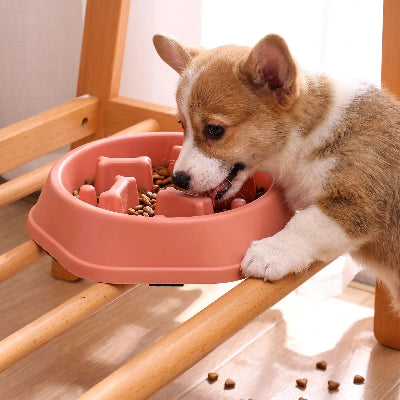 Gamelle anti glouton AntiBowl rose petit brun chien