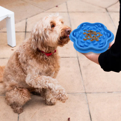 Gamelle anti glouton chien AntiGlou bleu assis chien