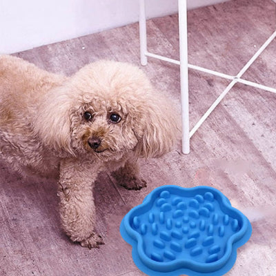 Gamelle anti glouton chien AntiGlou bleu regarde chien