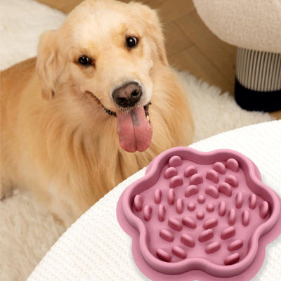 Gamelle anti glouton chien AntiGlou regarde, brun chien