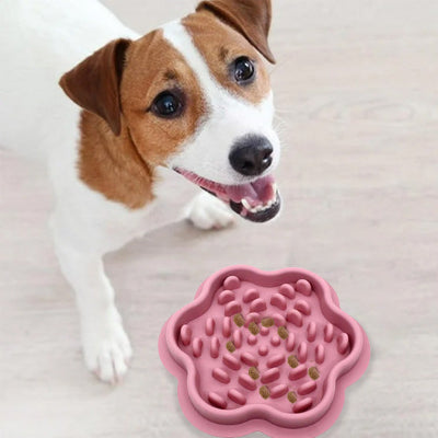 Gamelle anti glouton chien AntiGlou rose, regarde, chien