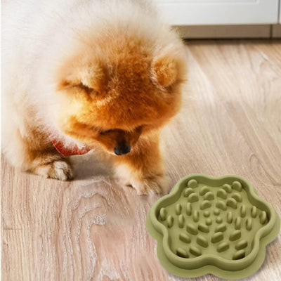 Gamelle anti glouton chien AntiGlou vert regarde, chien