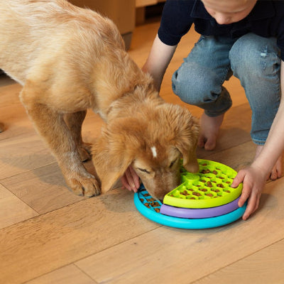 Gamelle anti glouton chien GamAnti brun amuser chien