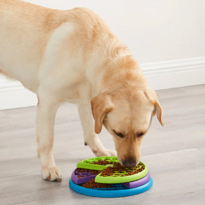 Gamelle anti glouton chien GamAnti debout crème chien