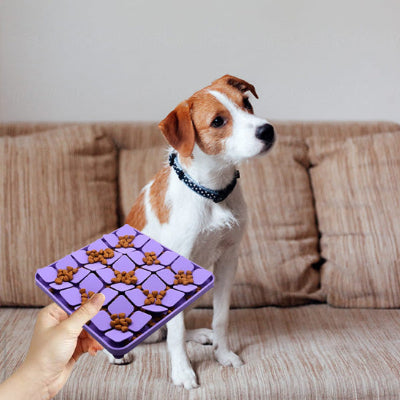 Gamelle anti glouton chien GamGlou violet brun assis chien