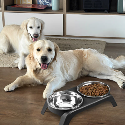 Gamelle chien DogCarrierDish gris chien