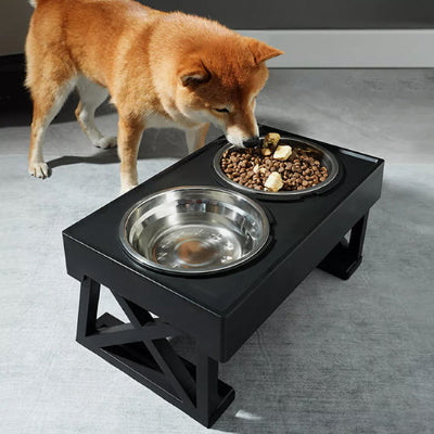 Gamelle chien DogWaterBowlDish examine chien