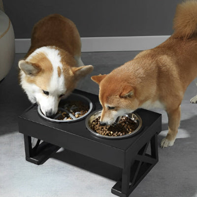 Gamelle chien DogWaterBowlDish mange noir chien