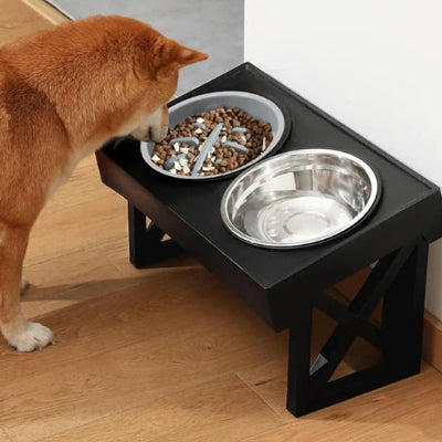 Gamelle chien DogWaterBowlDish regarde chien