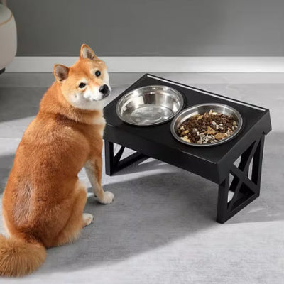 Gamelle chien DogWaterBowlDish regarde tout près chien