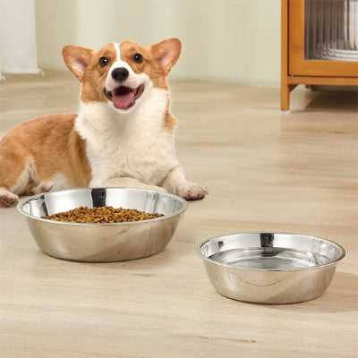 Gamelle chien DoglCanineFoodBowl brun, bol plein chien