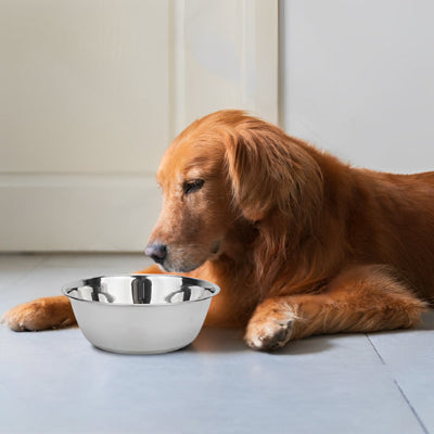 Gamelle chien DoglCanineFoodBowl brun bol vide chien