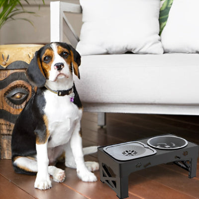 Gamelle chien FoodCanineWaterBowl assis chien