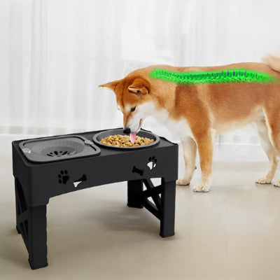 Gamelle chien FoodCanineWaterBowl debout chien