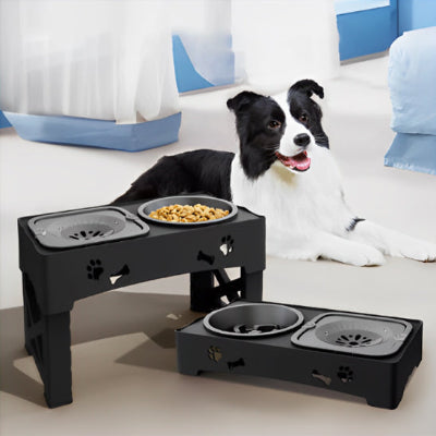 Gamelle chien FoodCanineWaterBowl regarde chien