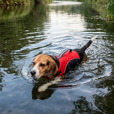Gilet de sauvetage chien BestBuoyancy rouge nage chien