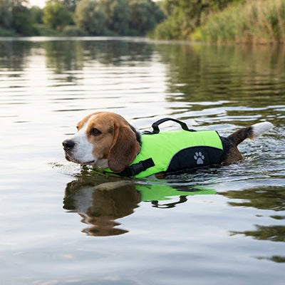 Gilet de sauvetage chien BestBuoyancy vert nage chien