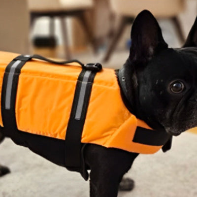 Gilet de sauvetage chien DogLife orange noir chien