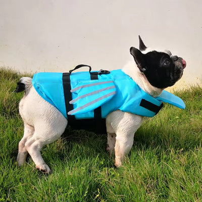  Gilet de sauvetage pour chien Life bleu, debout blanc chien