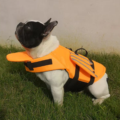 Gilet de sauvetage pour chien Life orange assis chien