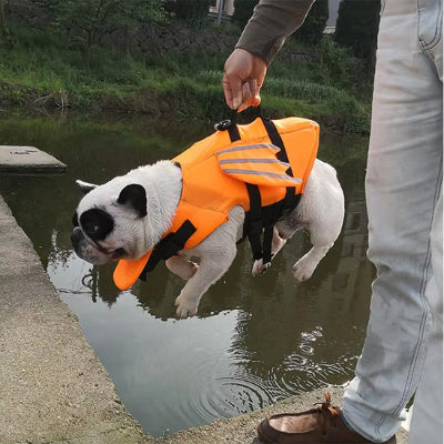 Gilet de sauvetage pour chien Life orange chien