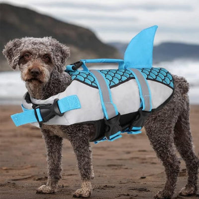 Gilet de sauvetage pour chien LifeDog bleu brun chien