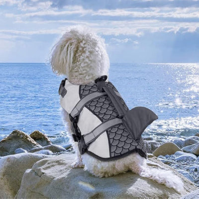 Gilet de sauvetage pour chien LifeDog gris chien