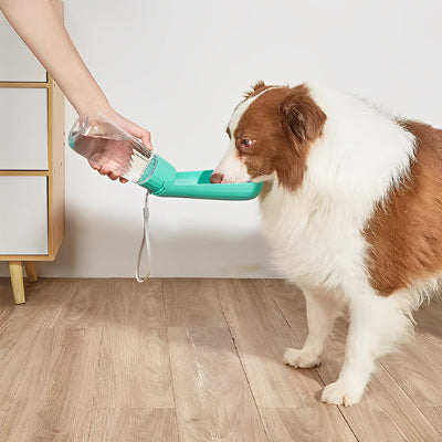 Gourde chien DogsWaterBottles boire bleu chien