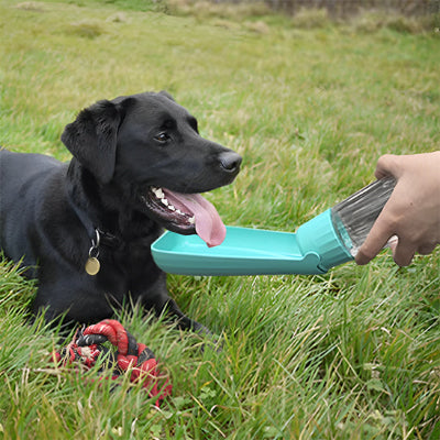 Gourde chien DogsWaterBottles boire bleu noir chien