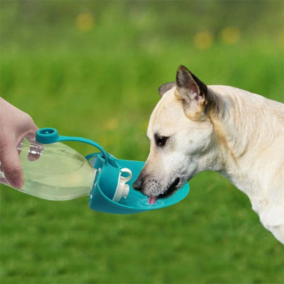 Gourde chien GourdsShapedDogs bleu boire blanc chien