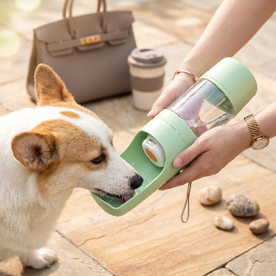 Gourde chien PortableLeakProof vert, debout blanc brun chien