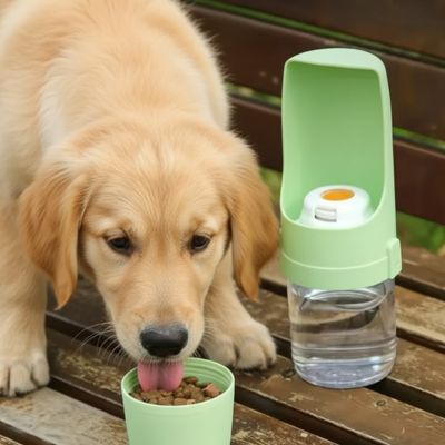 Gourde chien PortableLeakProof vert table chien