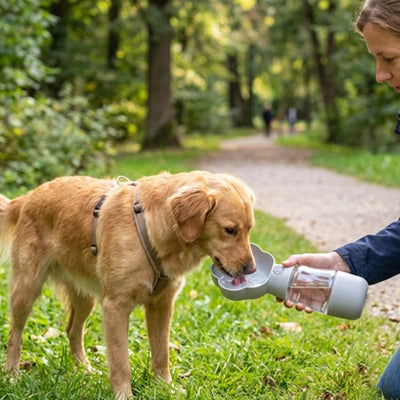 Gourde chien TheWaterBottleDog gris debout boire chien