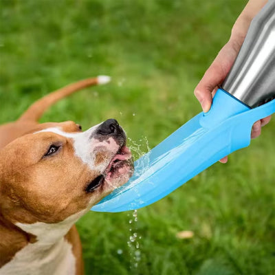 Gourde pour chien DogBottle boire, brun chien
