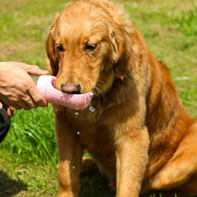 Gourde pour chien GourdForDogs brun rose chien