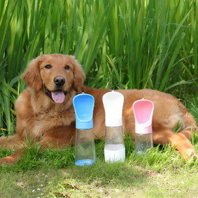 Gourde pour chien GourdForDogs couleur trois chiens