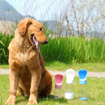 Gourde pour chien GourdForDogs regarde trois couleurs chien