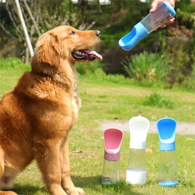 Gourde pour chien GourdForDogs trois couleurs bleu chien