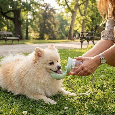 Gourde pour chien LeakProofPortable vert, allongée chien
