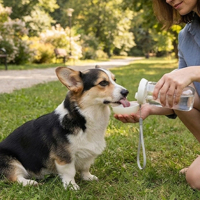 Gourde pour chien LeakProofResistant blanc boire noir chien