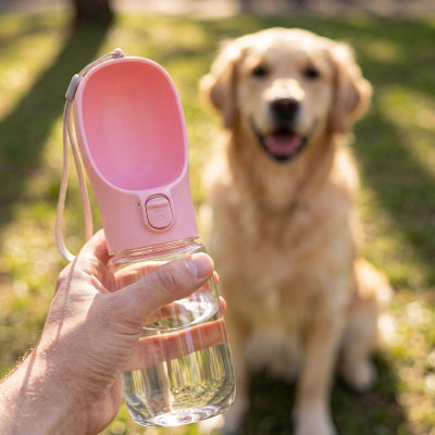 Gourde pour chien PortableLeak rose assise brun chien
