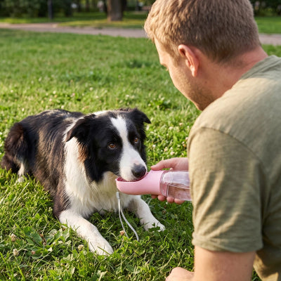 Gourde pour chien PortableLeak rose couche chien