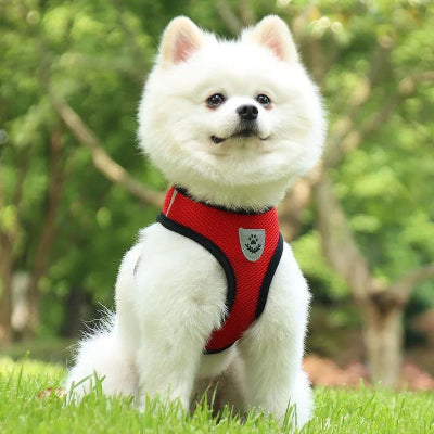 Harnais chien CarryingHarness rouge blanc chien