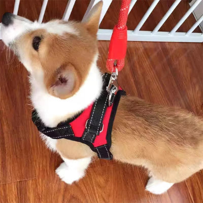Harnais chien CounterfeitCar debout brun stop rouge chien