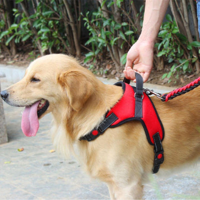 Harnais chien CounterfeitCar debout rouge main chien