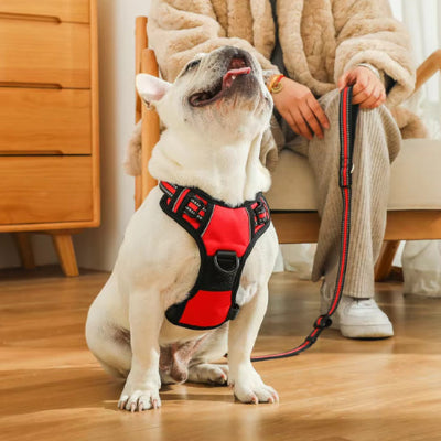 Harnais chien anti traction AntiPull assis harnais rouge chien