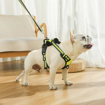 Harnais chien anti traction AntiPull debout harnais vert chien